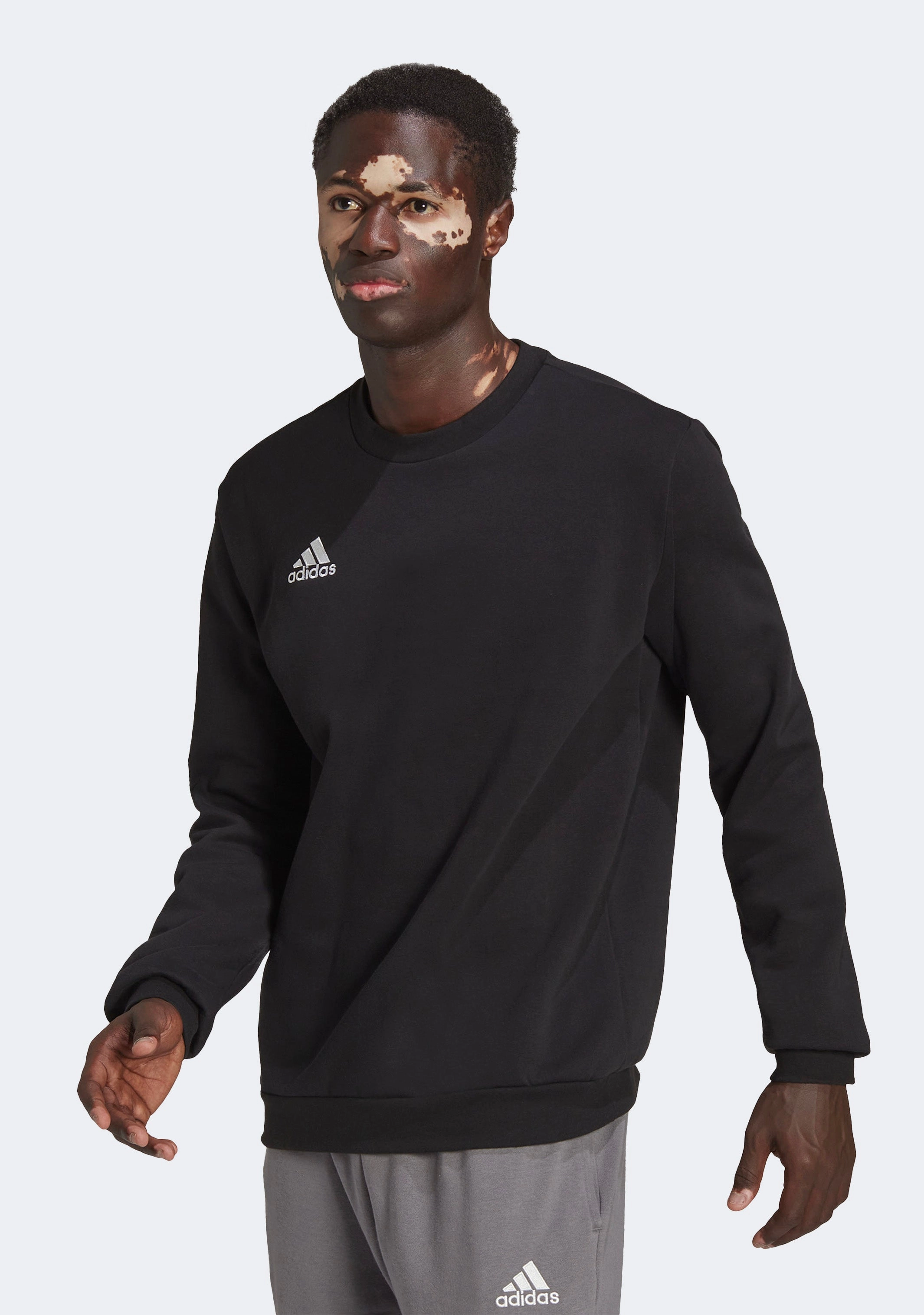 Adidas Men’s Entrada 22 Sweat Top