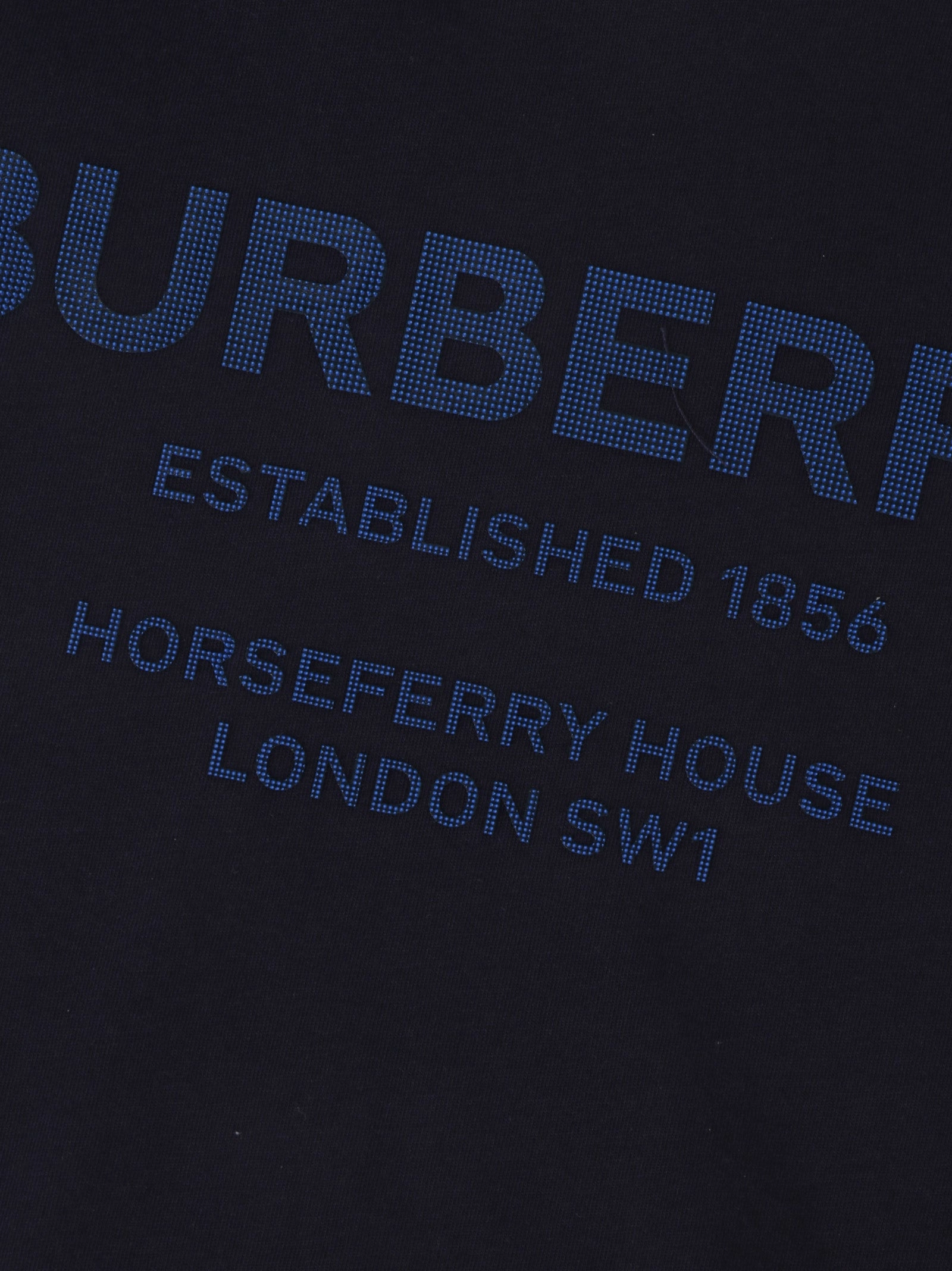 Burberry Kids Logo Printed Crewneck T-Shirt