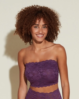 Curvy Flirtie Bandeau BH