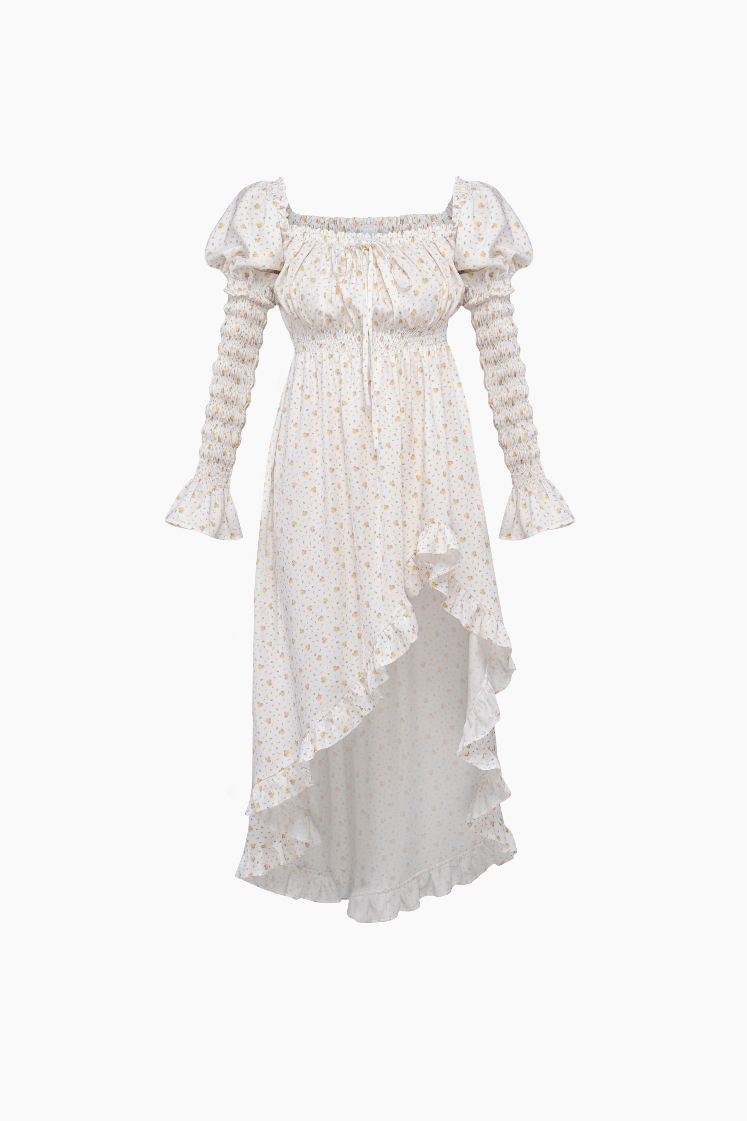 Juliette Shirred Asymmetric Dress in Mimosa Print