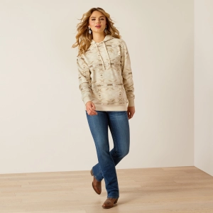 Ladies Ariat Logo 2.0 Hoodie 10055021