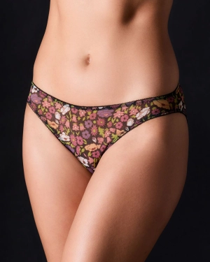 Rania Briefs